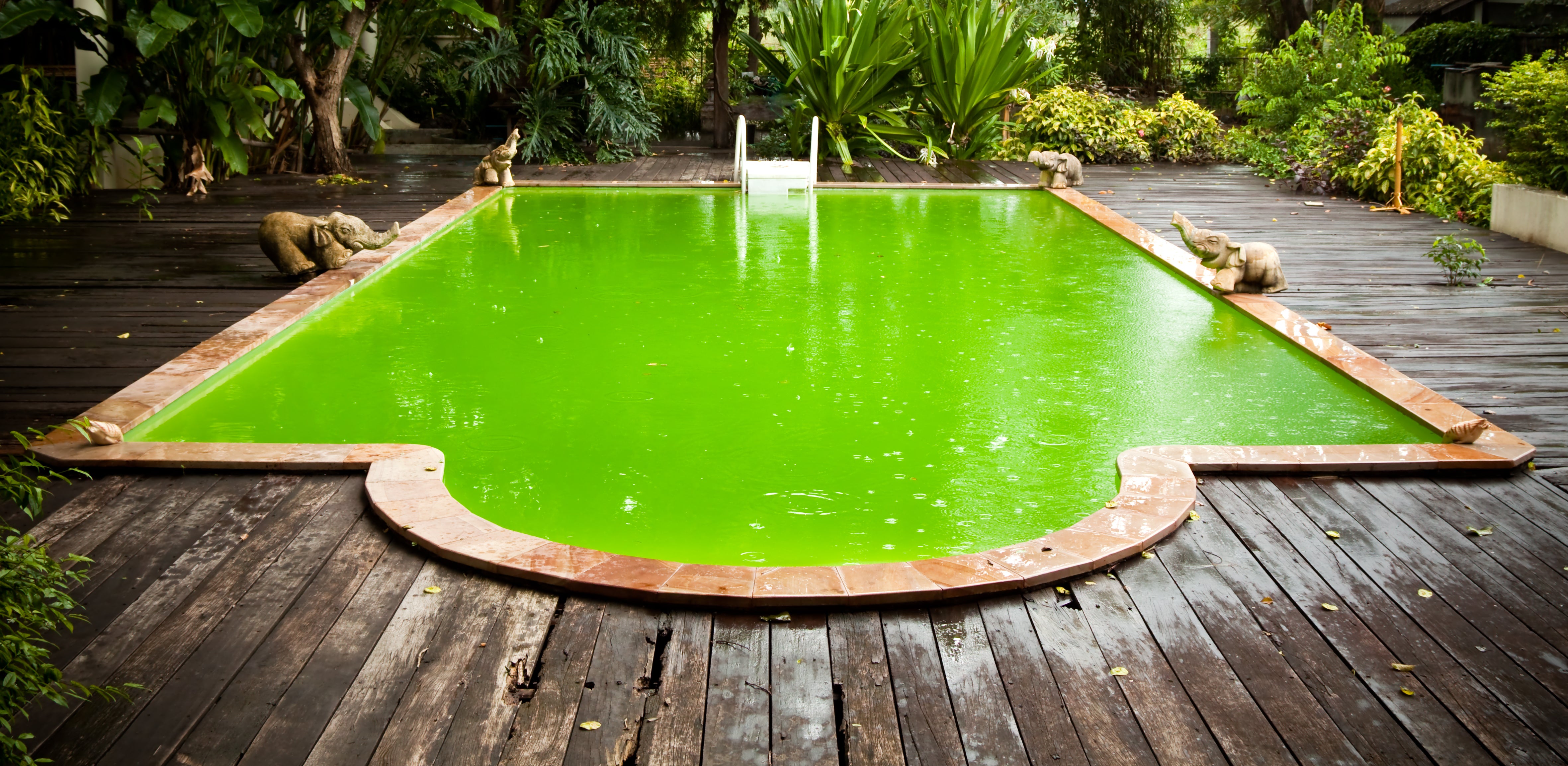 Ma piscine est verte ! Que faire?