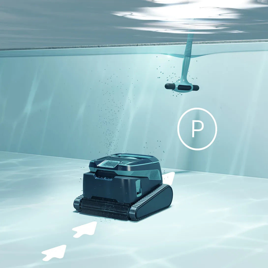Robot Dolphin Liberty 600