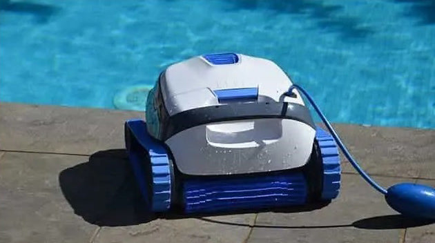 Robot Dolphin S100